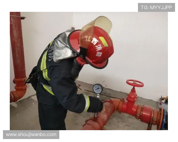 万博官方网站链接登录遇到问题的排查步骤与安全保障措施