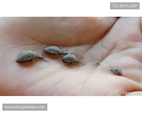 万博max官网入口安全可靠的登录入口,保障玩家个人信息与资金安全 万博max官网入口安全可靠的登录入口,保障玩家个人信息与资金安全