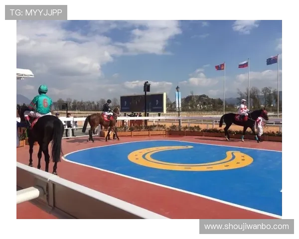 大赢家体育如何打造专业化体育竞猜体验满足不同玩家需求